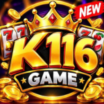 k116-game
